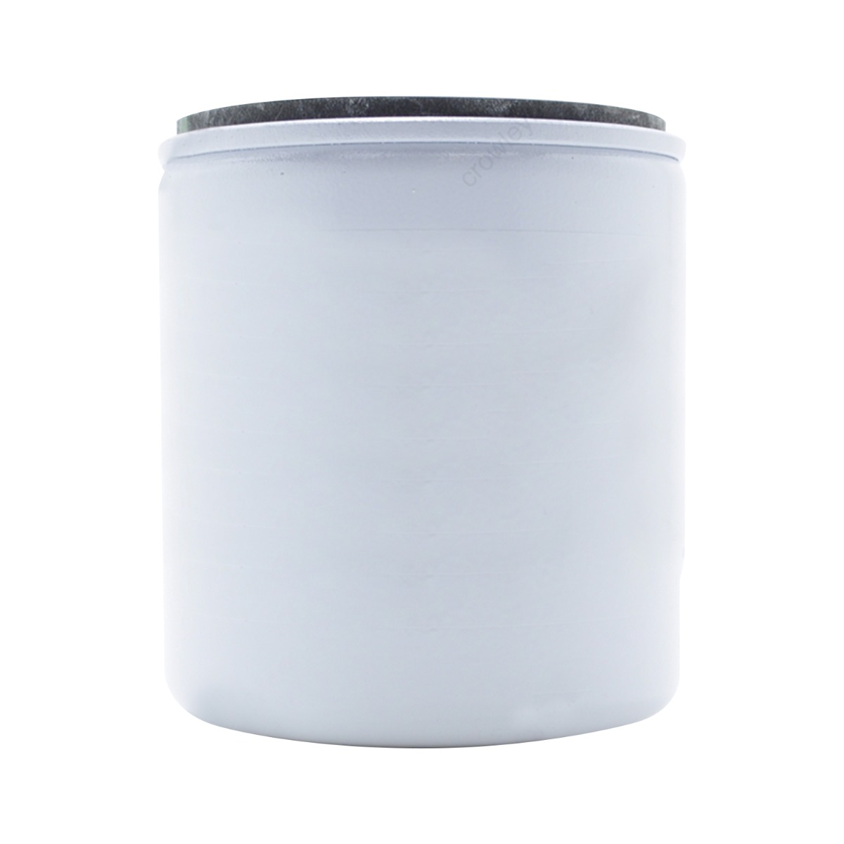 Filtre à carburant 5009676 pour Johnson