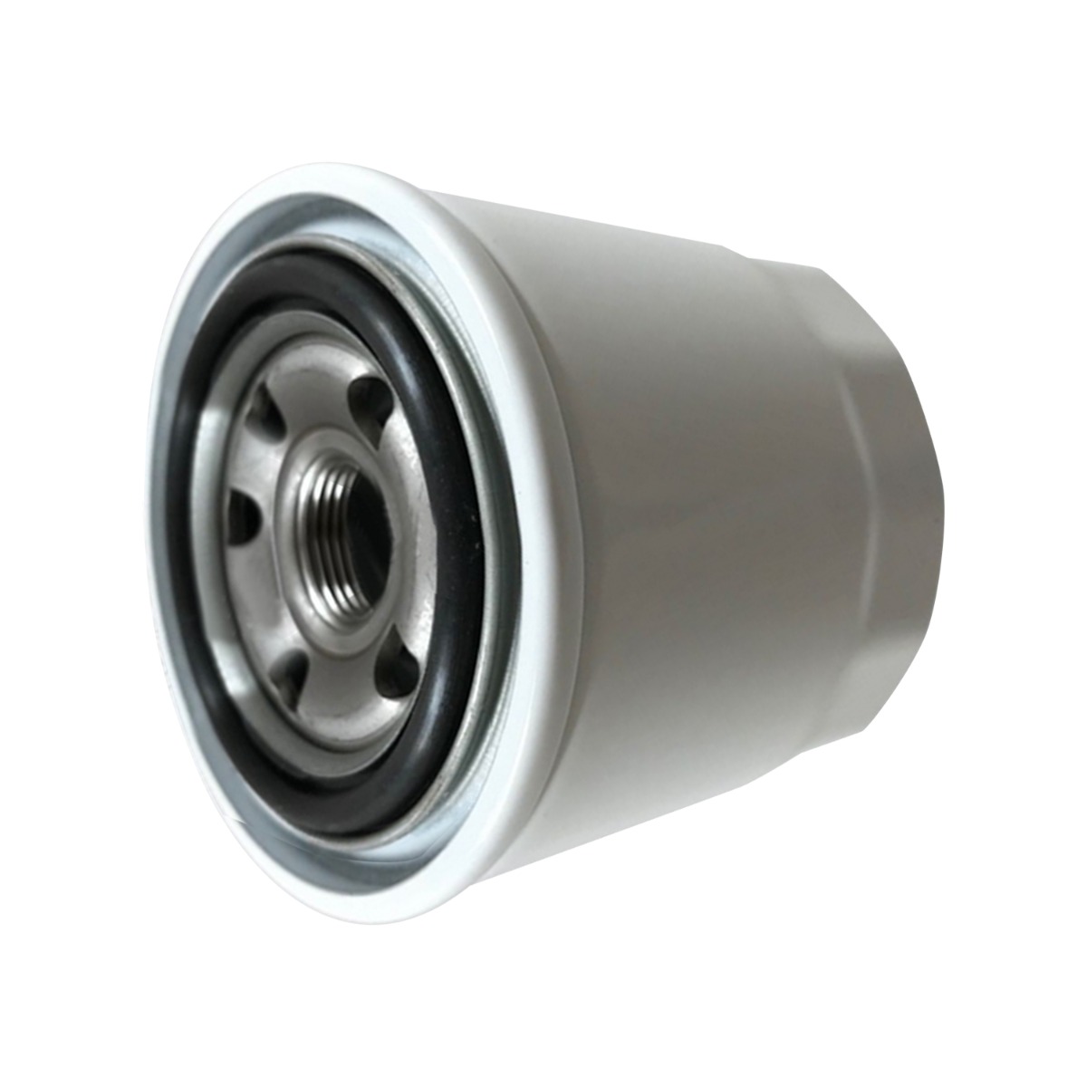 Filtre à carburant 119802-55810 pour Yanmar pour Donaldson
