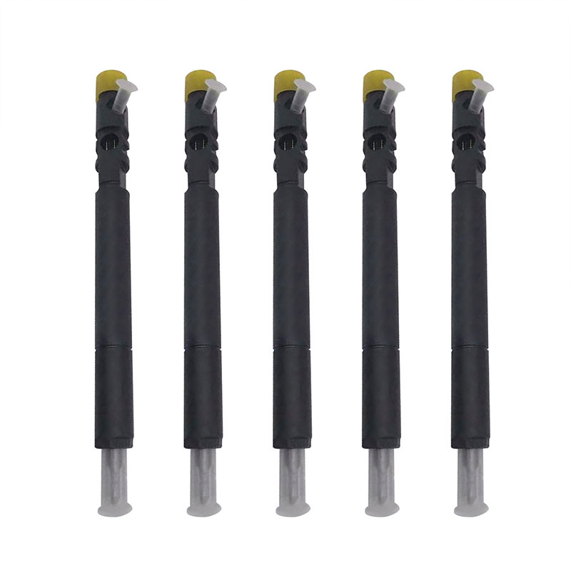 Injecteur de carburant 5 pièces 6650170321 pour Delphi