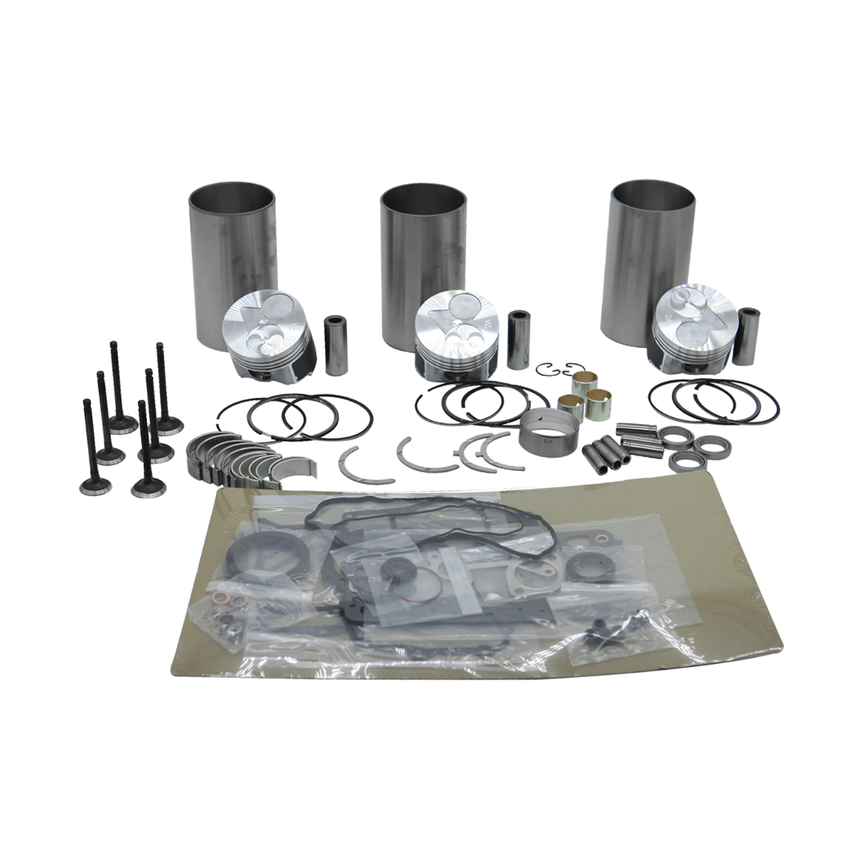 Kit de reconstruction N843 pour Kubota