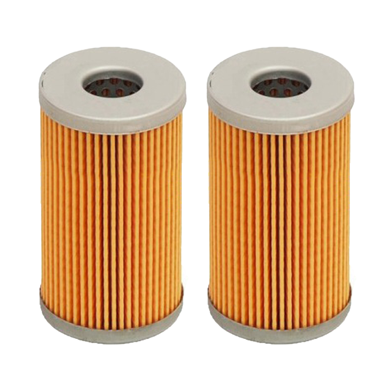 Filtre à carburant 1924487110 2 pièces pour Kubota pour Massey Ferguson pour John Deere pour Ford pour New Holland pour Yanmar