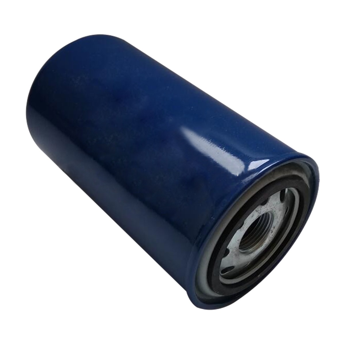 Filtre à carburant 30-0030200 pour Kubota pour transporteur