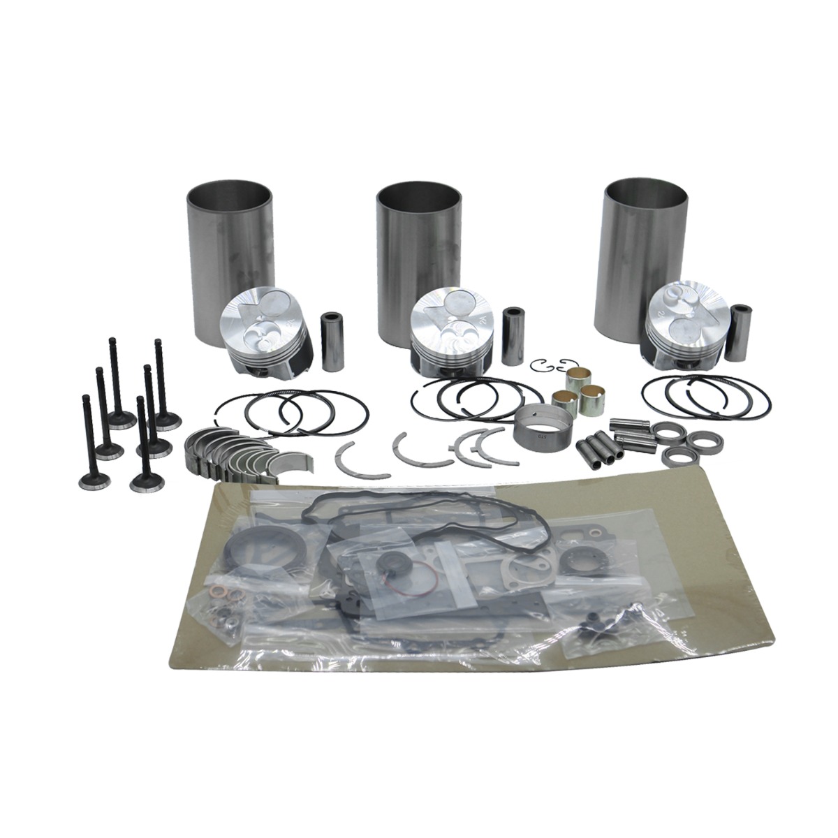 Kit de reconstruction de révision de garniture de segment de piston portant le joint complet pour Toro pour Kubota