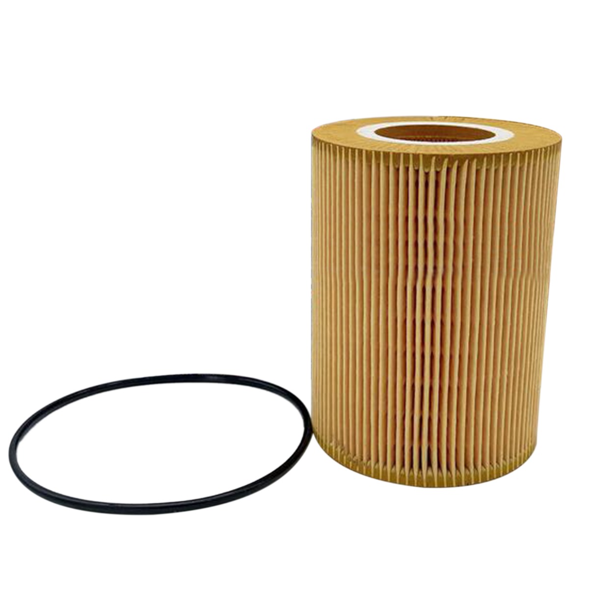 Filtre à huile 5021188231 Pour DAF
