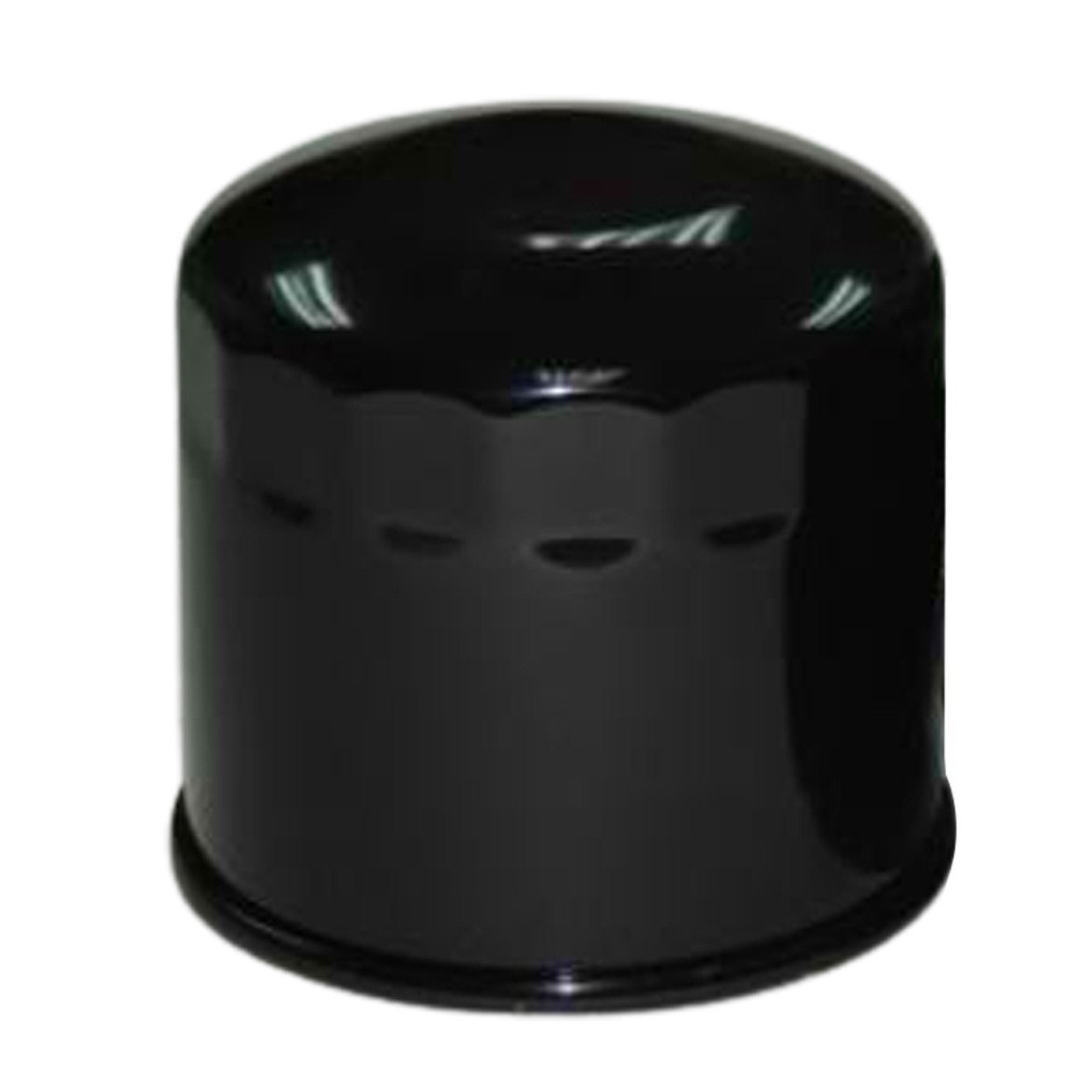 Filtre à carburant 4616543 pour Hitachi