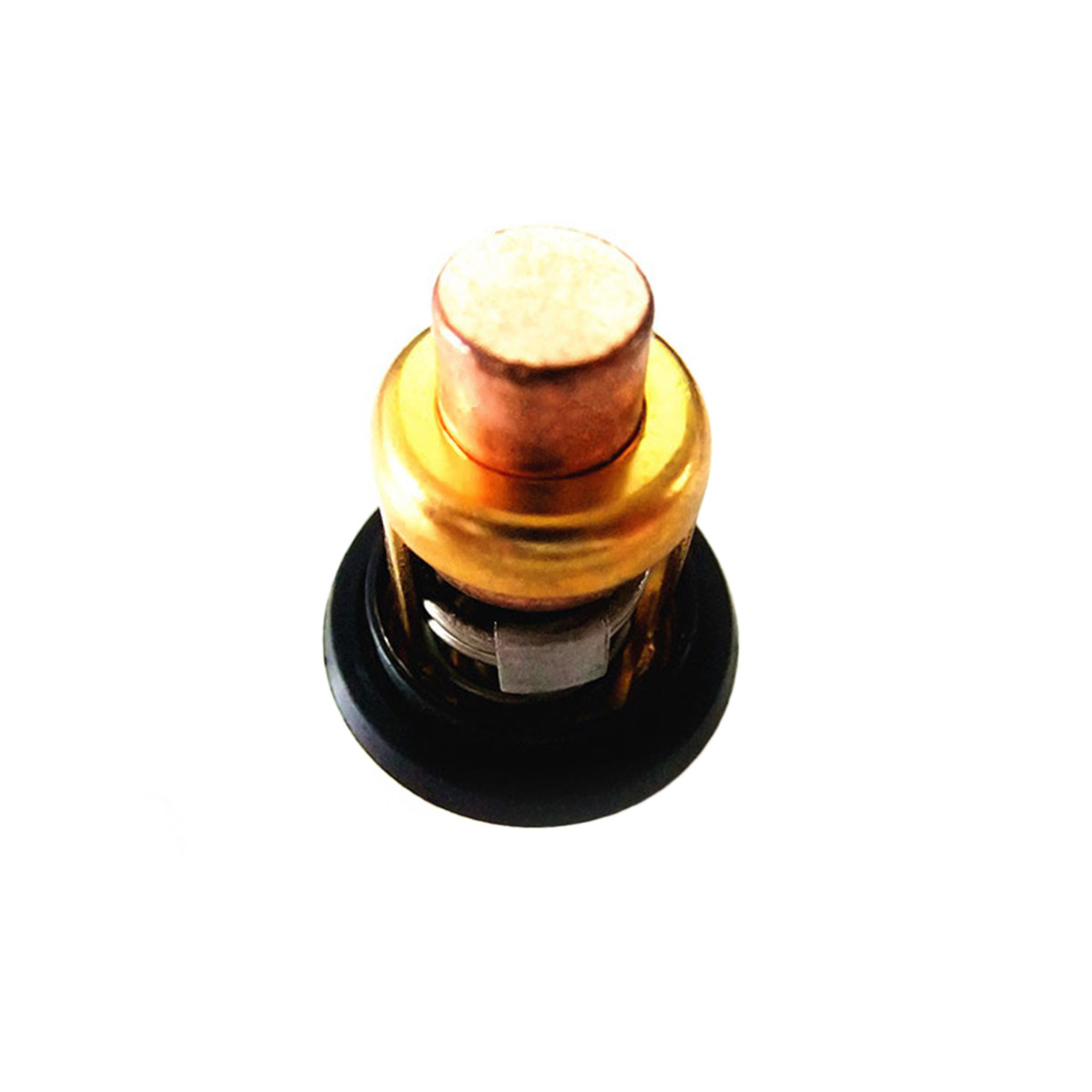 Thermostat pour moteur de bateau 19300ZW9003 Honda 4-stroke BF8D
