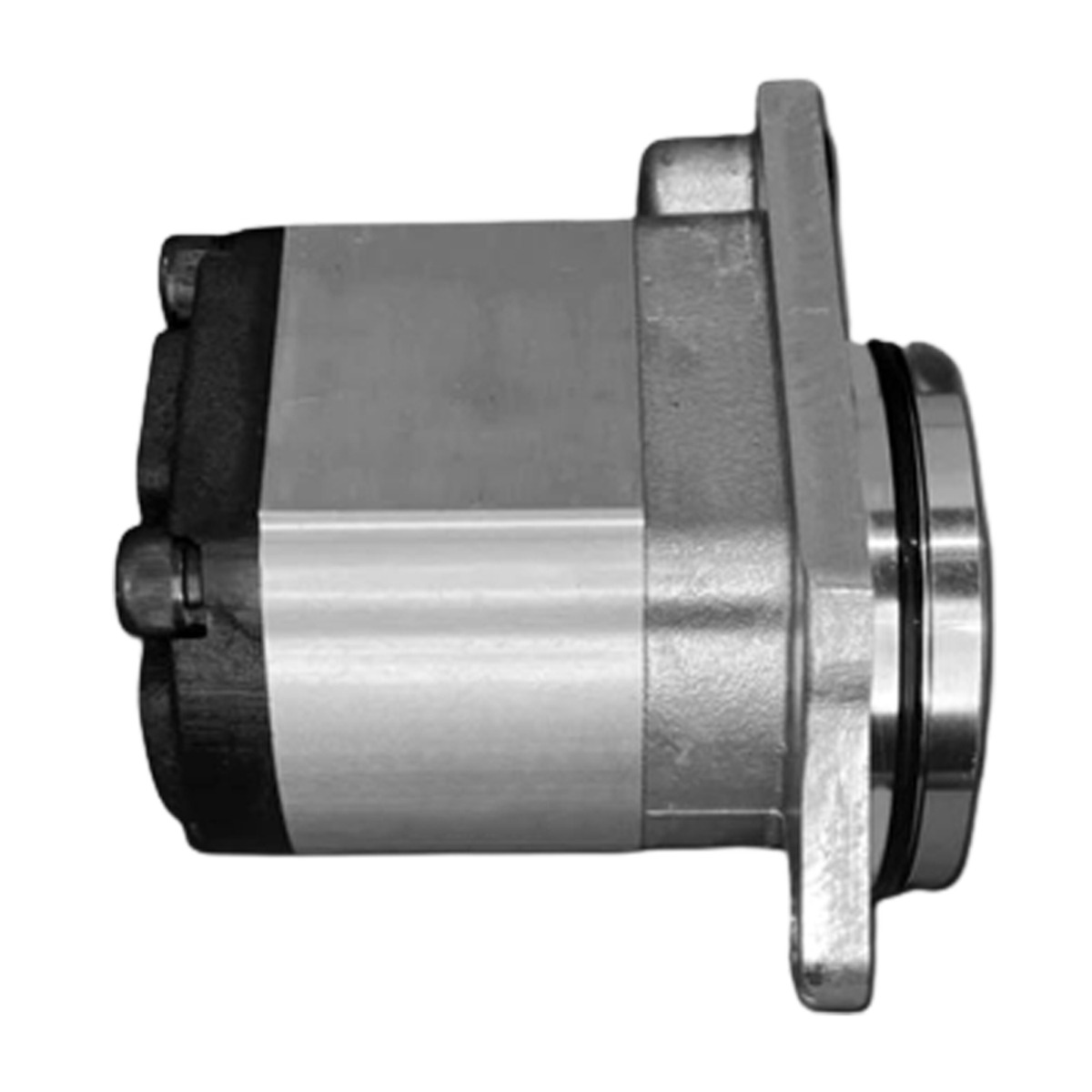 Pompe Group-Gear Pilot 1336912 pour Caterpillar