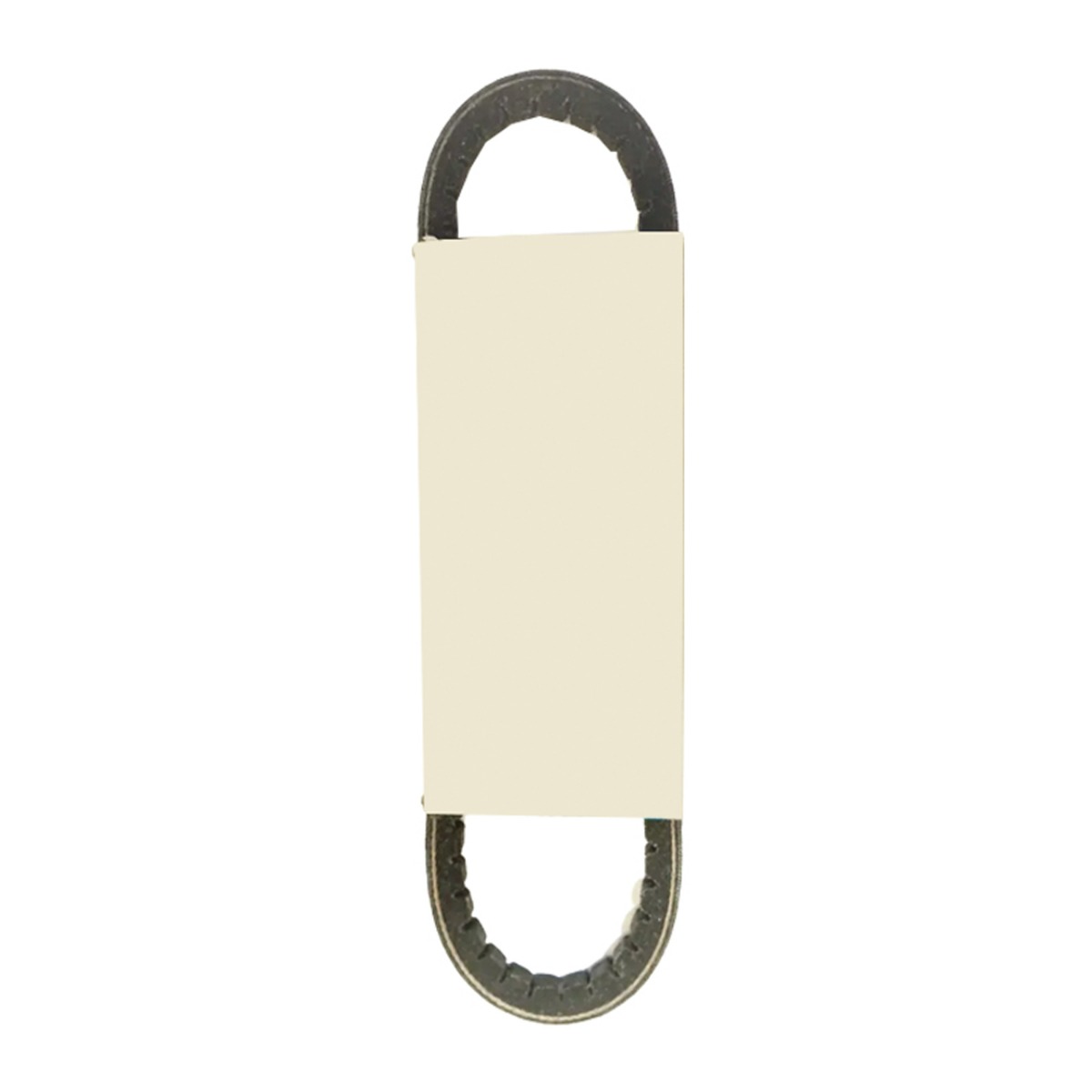 Courroie d'alternateur 10-78-787 pour Thermo King