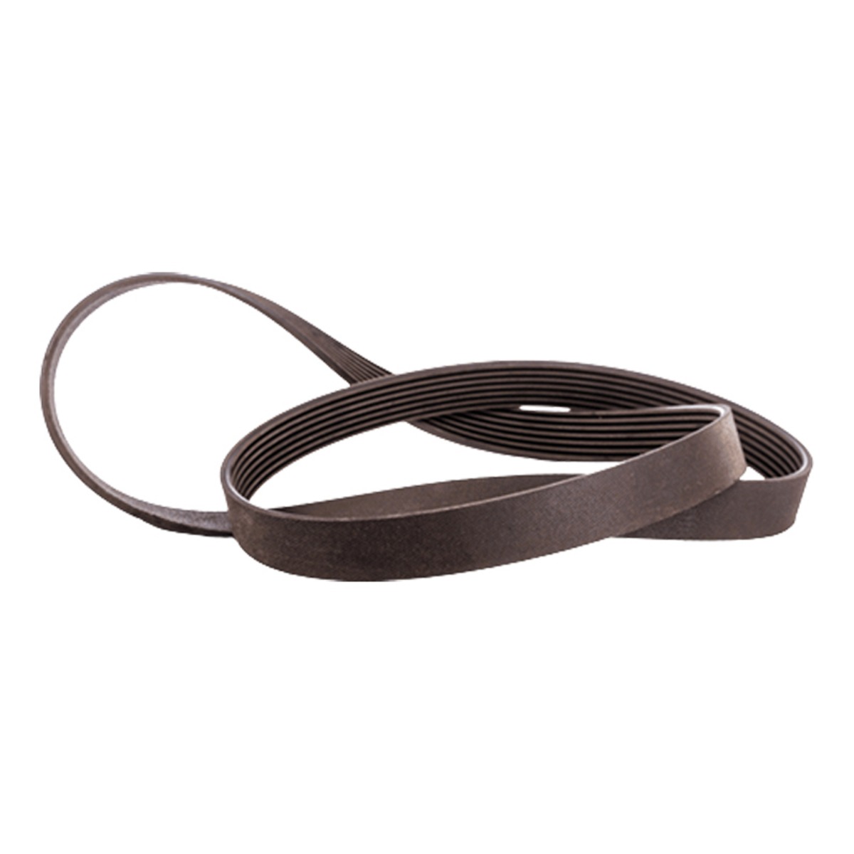 Courroie de pompe à eau 50-60329-02 pour Carrier
