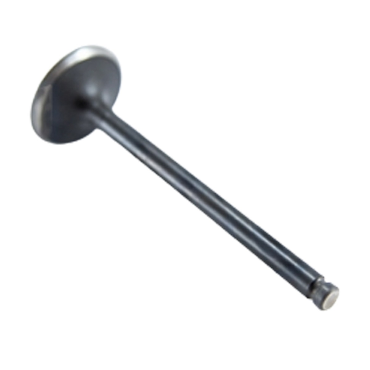 Admission Soupape Tête 11-5850 pour Thermo King