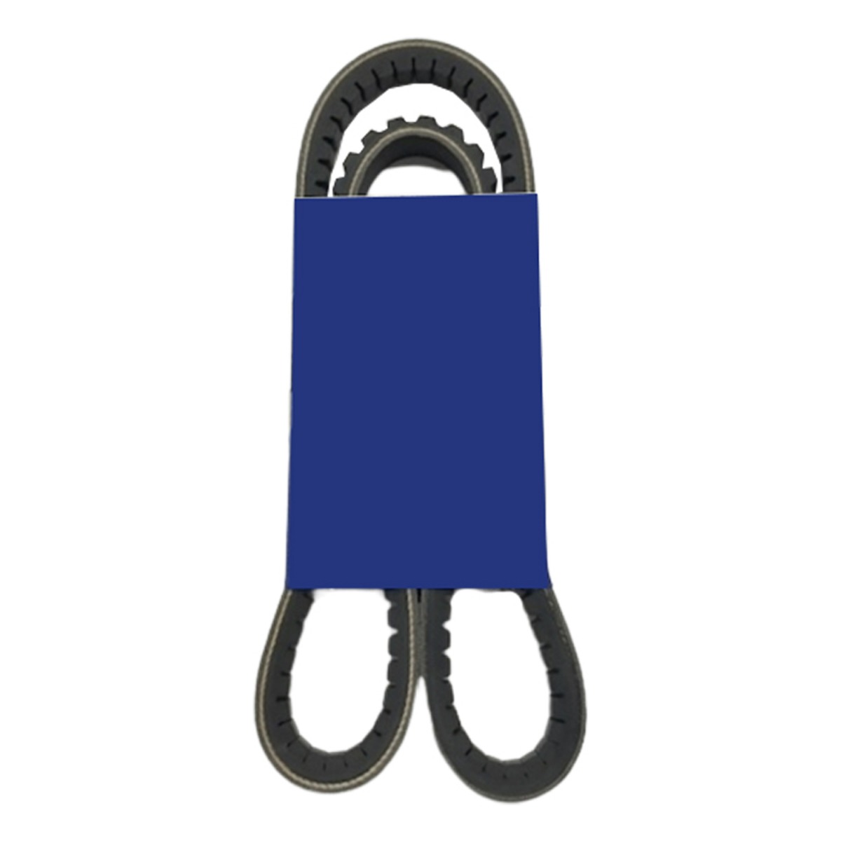 Ceinture 10-78-983 pour Thermo King