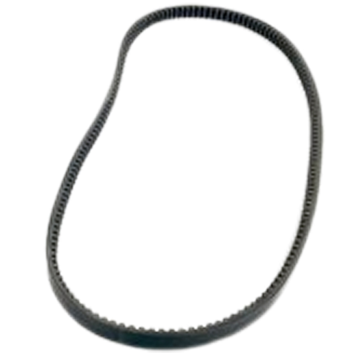 Courroie de compresseur 50-60411-53 pour Carrier