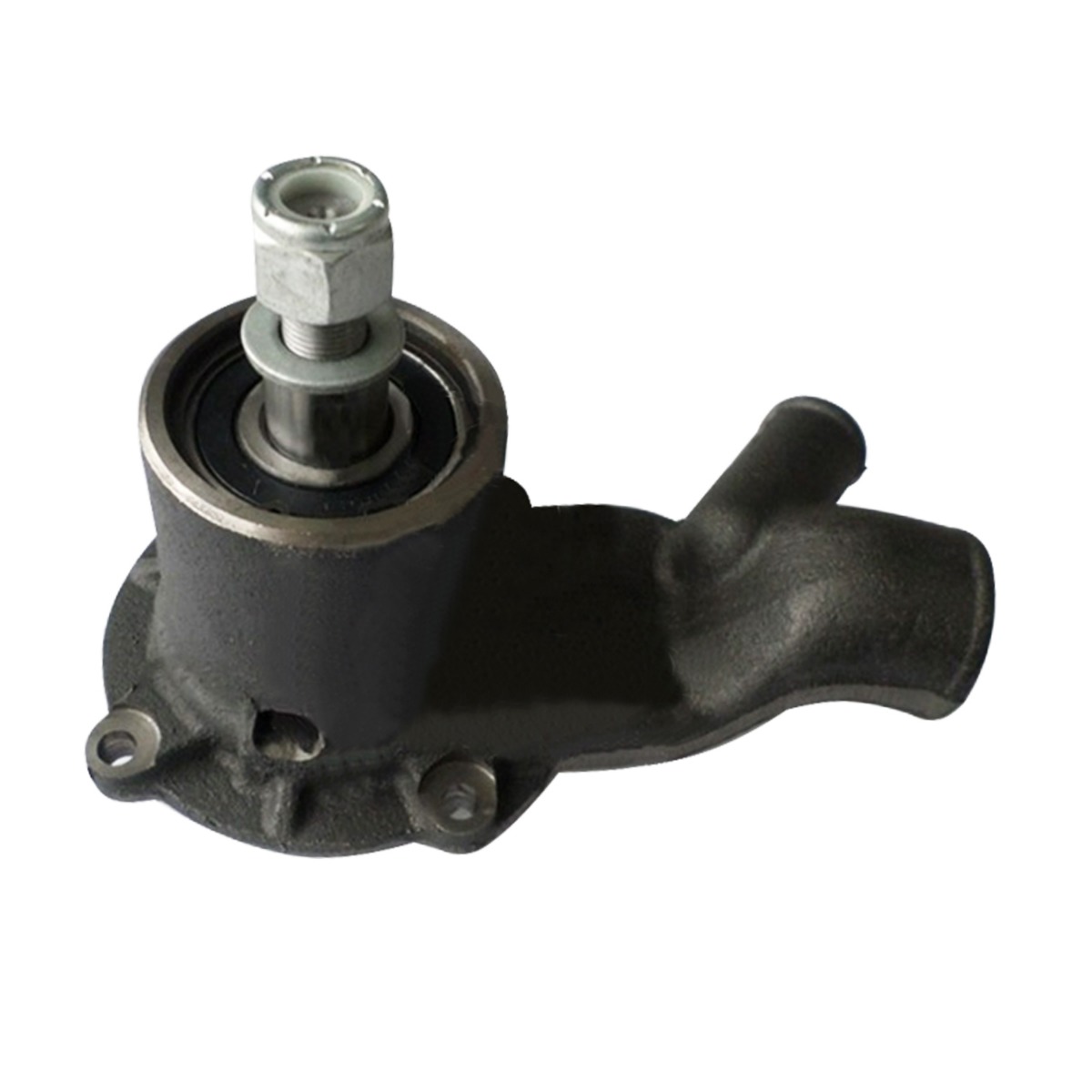 Pompe à eau 4223866M91 pour Massey Ferguson