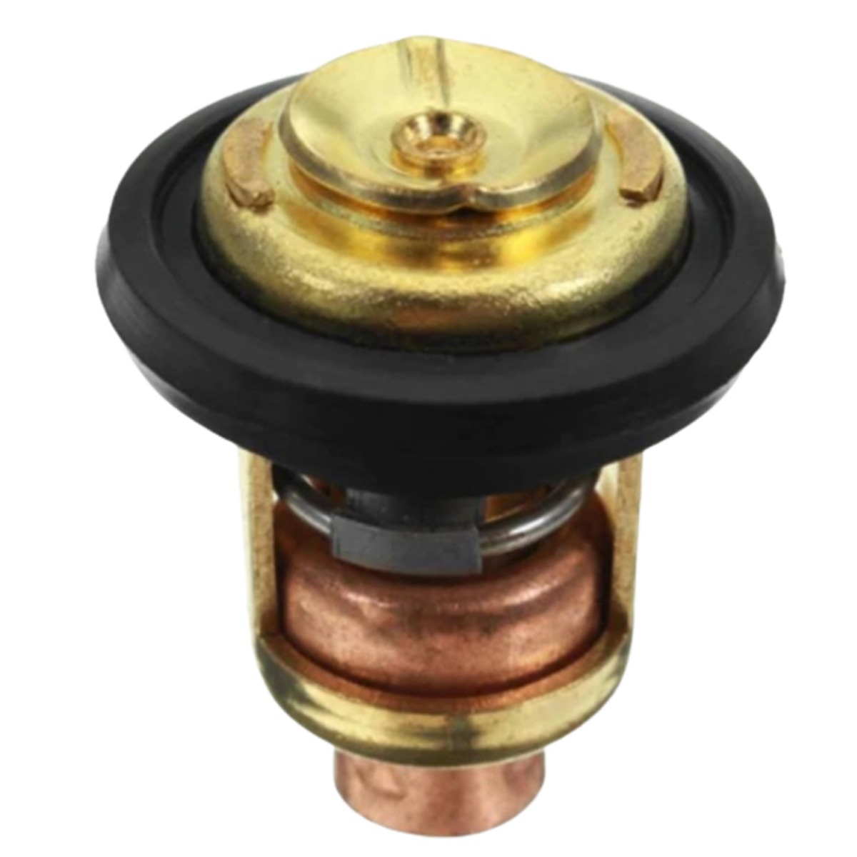 Thermostat 825212001 pour Mercury