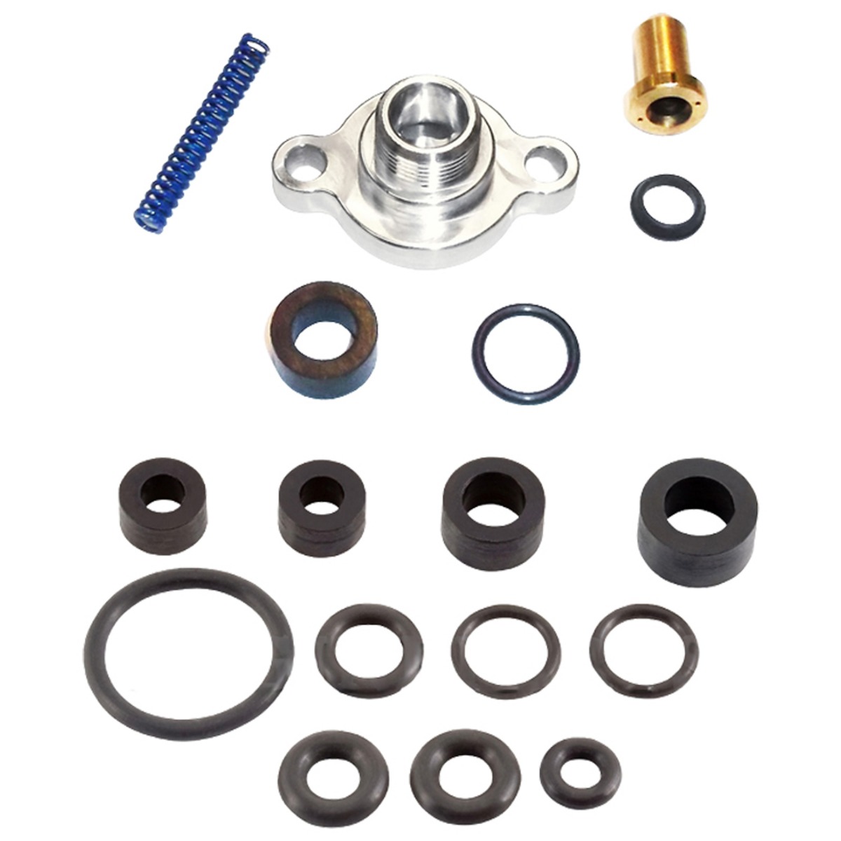 Kit de ressort et de joint de pression de décharge de carburant F81Z-9C065-AA pour Ford