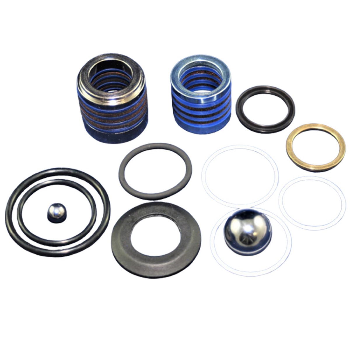 Kit de garniture de réparation de pompe 244-198 pour LineLazer