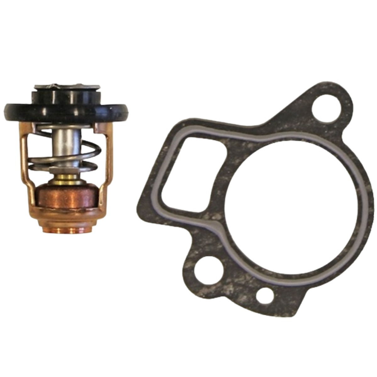 Thermostat avec joint 825212T02 pour Mercury