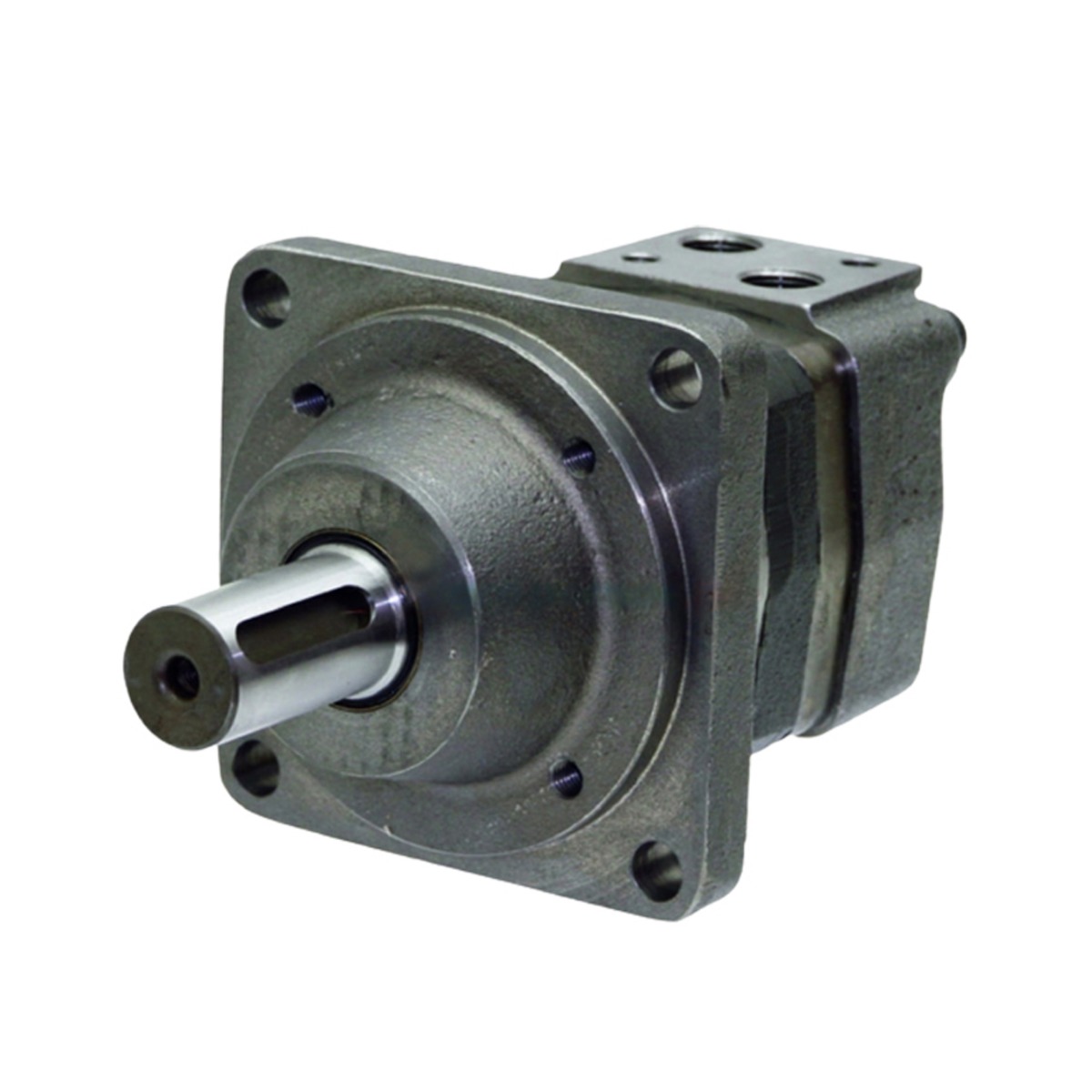 Moteur hydraulique 105-1005-006 pour Eaton