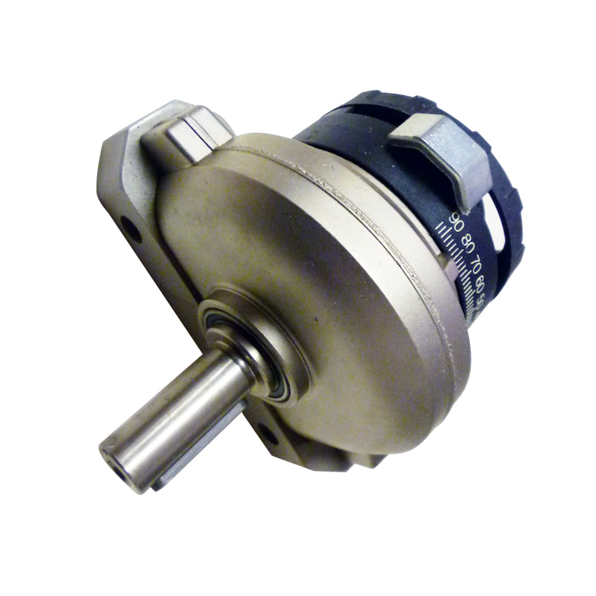Actionneur rotatif pneumatique DSR-25-180-P pour Festo