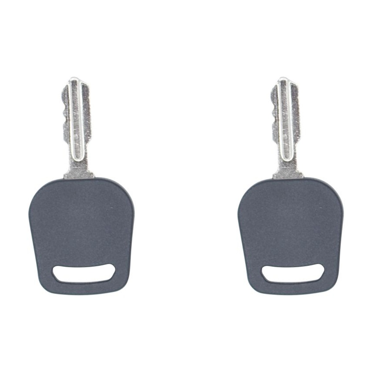Clé de contact 2pcs 042-9000-00 pour Bad Boy