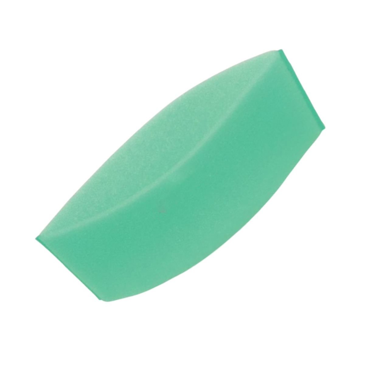 Préfiltre 100-219 pour Briggs & Stratton