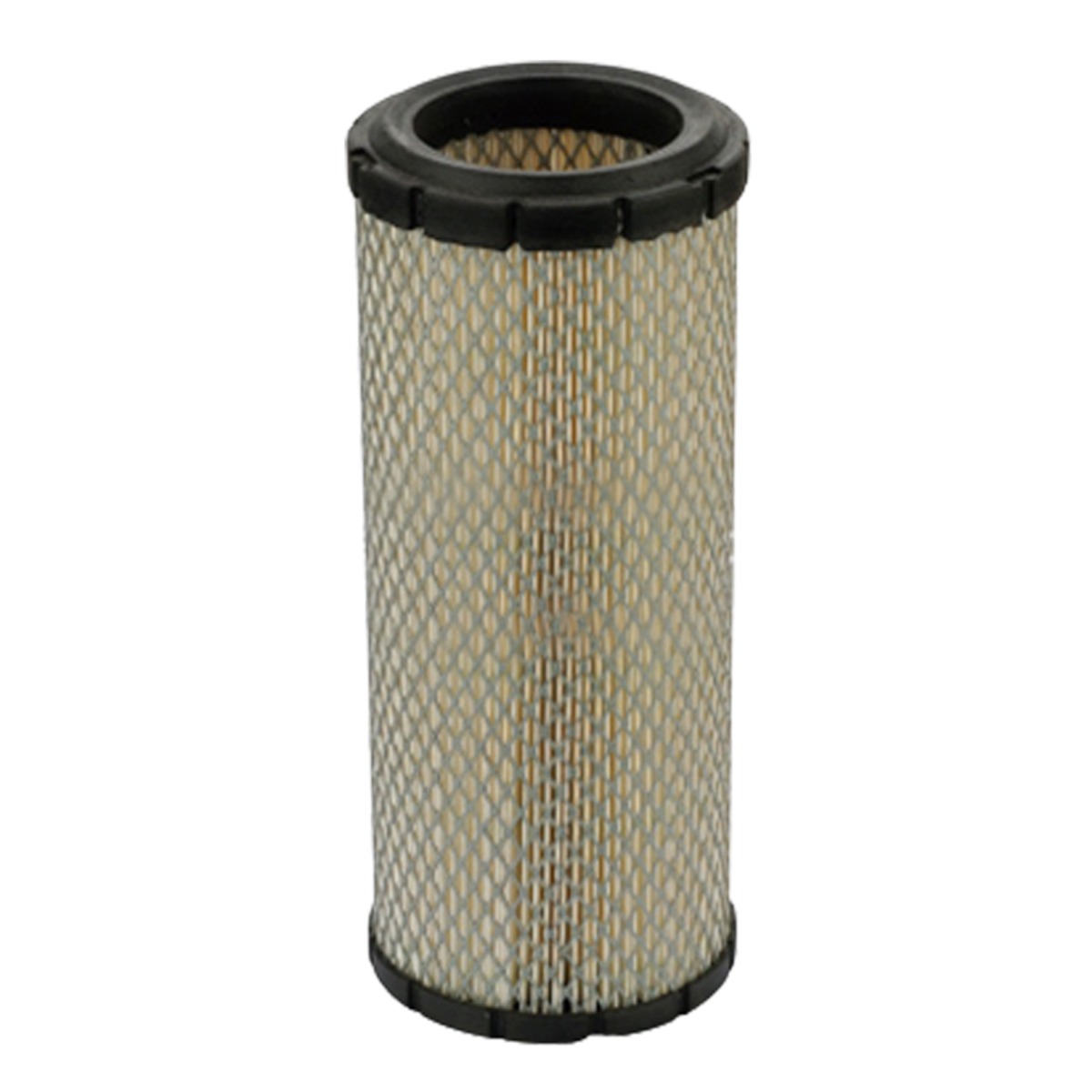 Filtre à air P775631 pour Bad Boy