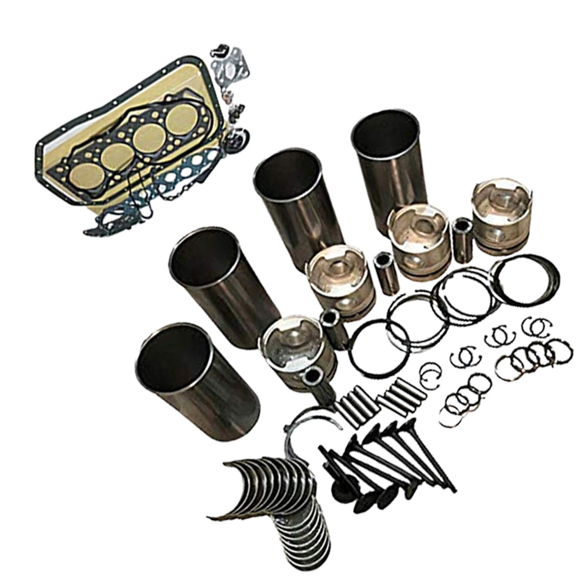 Kit de Révision et de Transformation Pour Thermo King