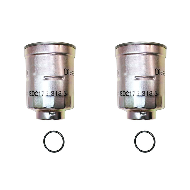 2 pièces Filtre à carburant avec joint torique ED0021753180-S pour Kohler