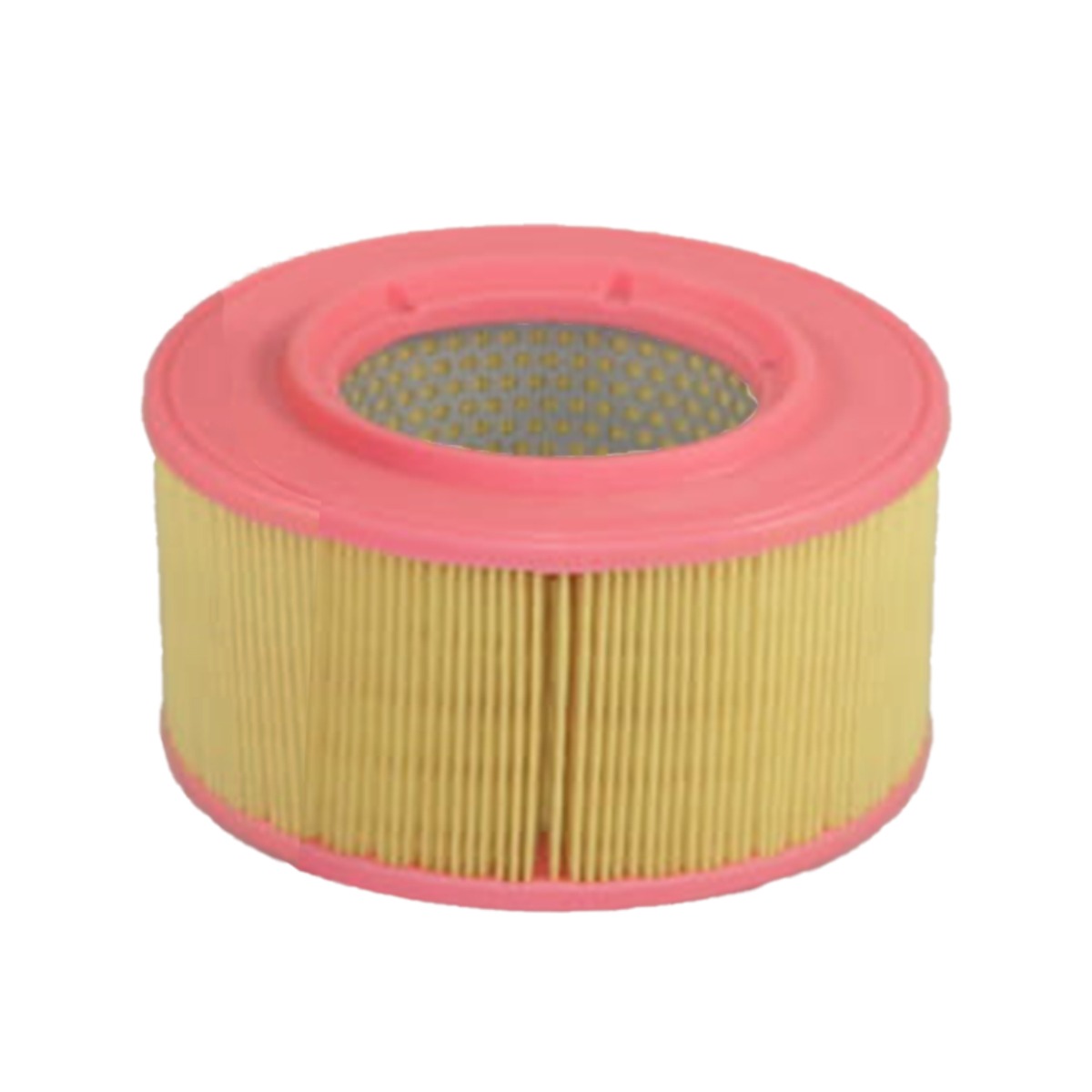 Filtre à air 366-07188 pour Lister Petter
