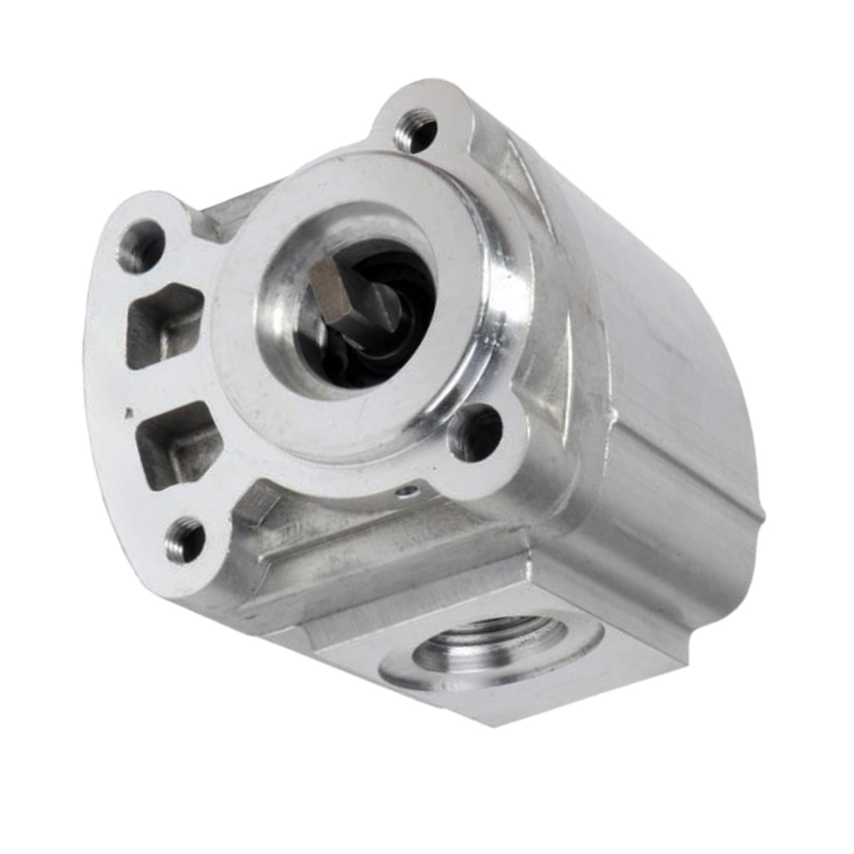 Pompe hydraulique 147661 pour Skyjack