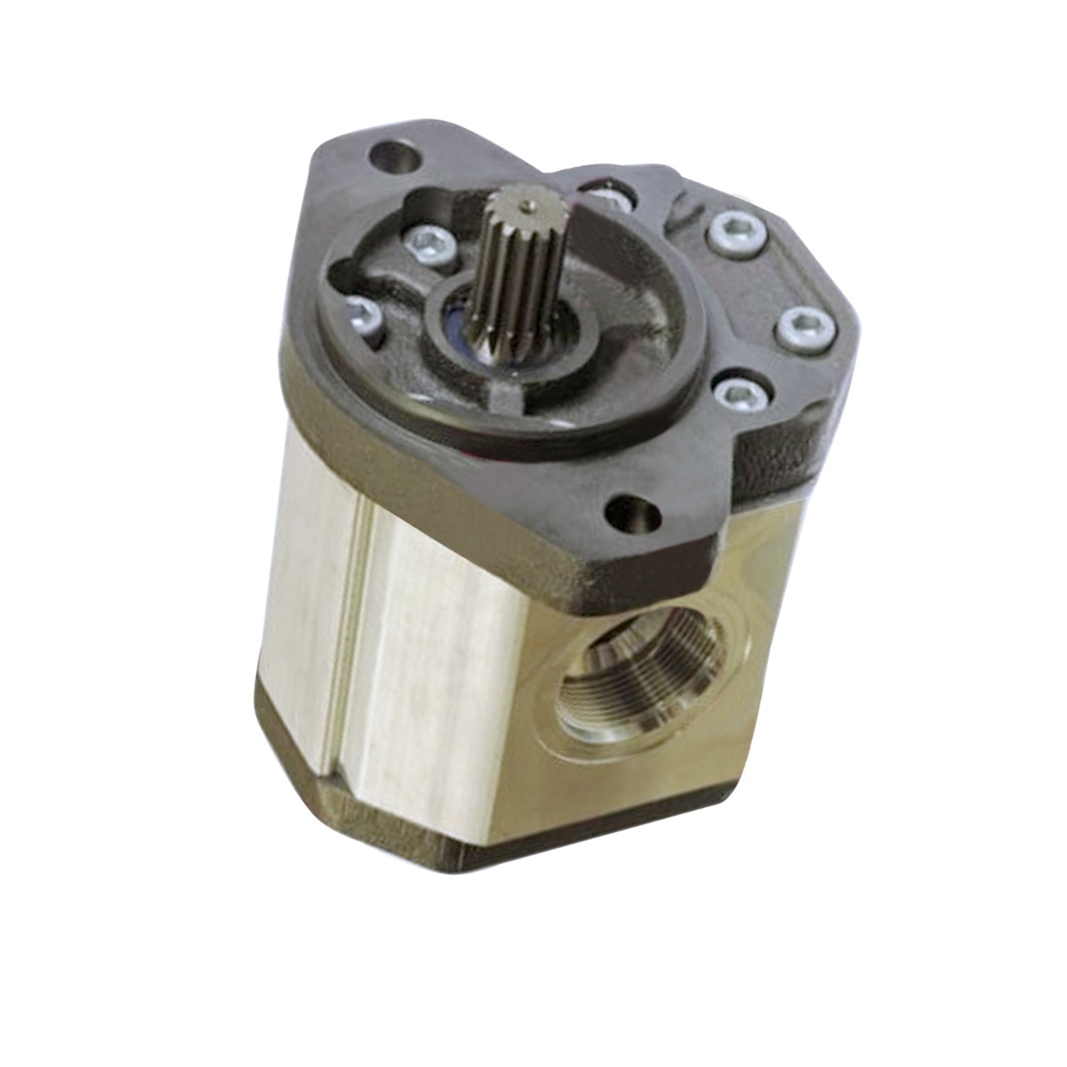 Pompe à engrenages hydraulique 102498 pour Gehl