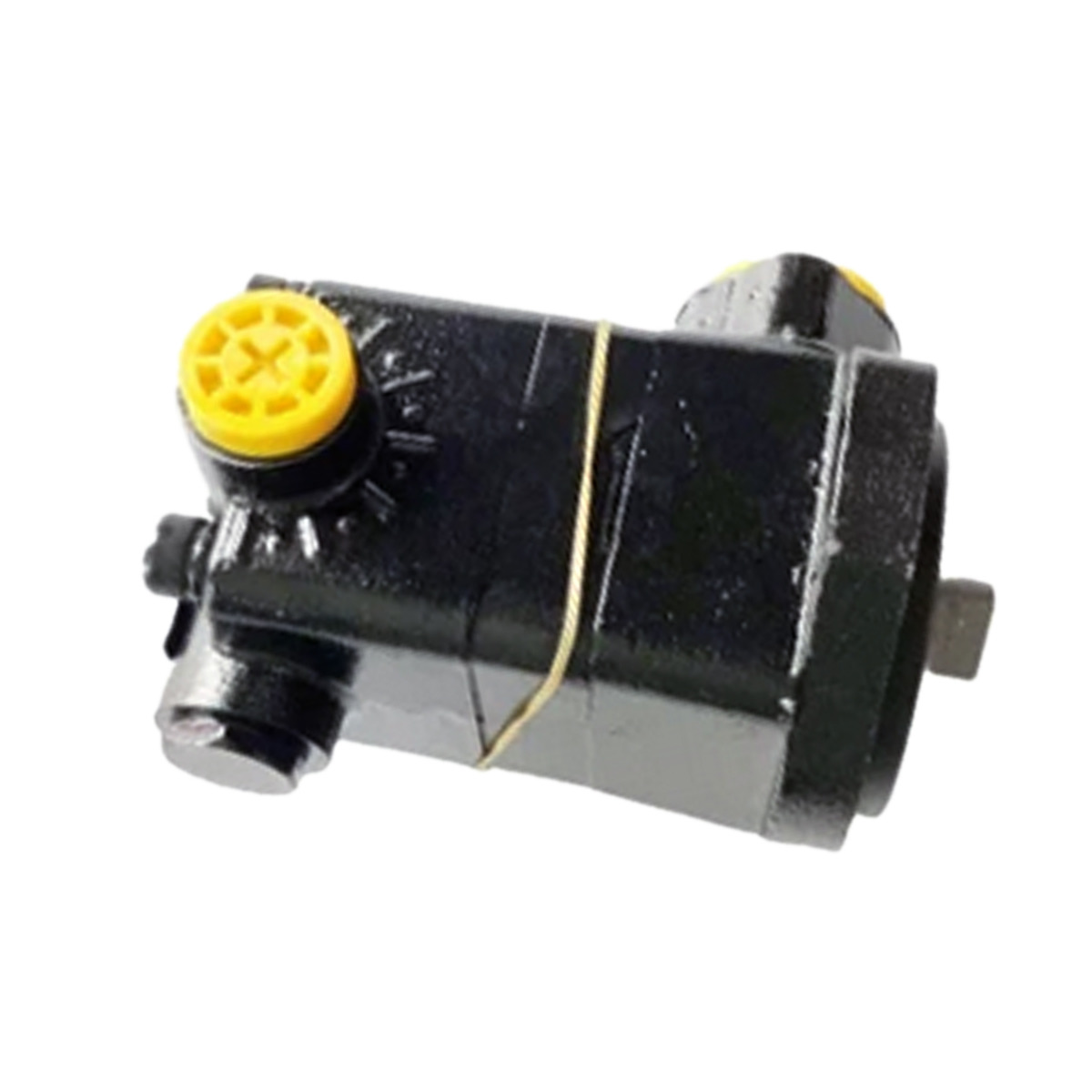 Pompe hydraulique 5253897 pour Cummins