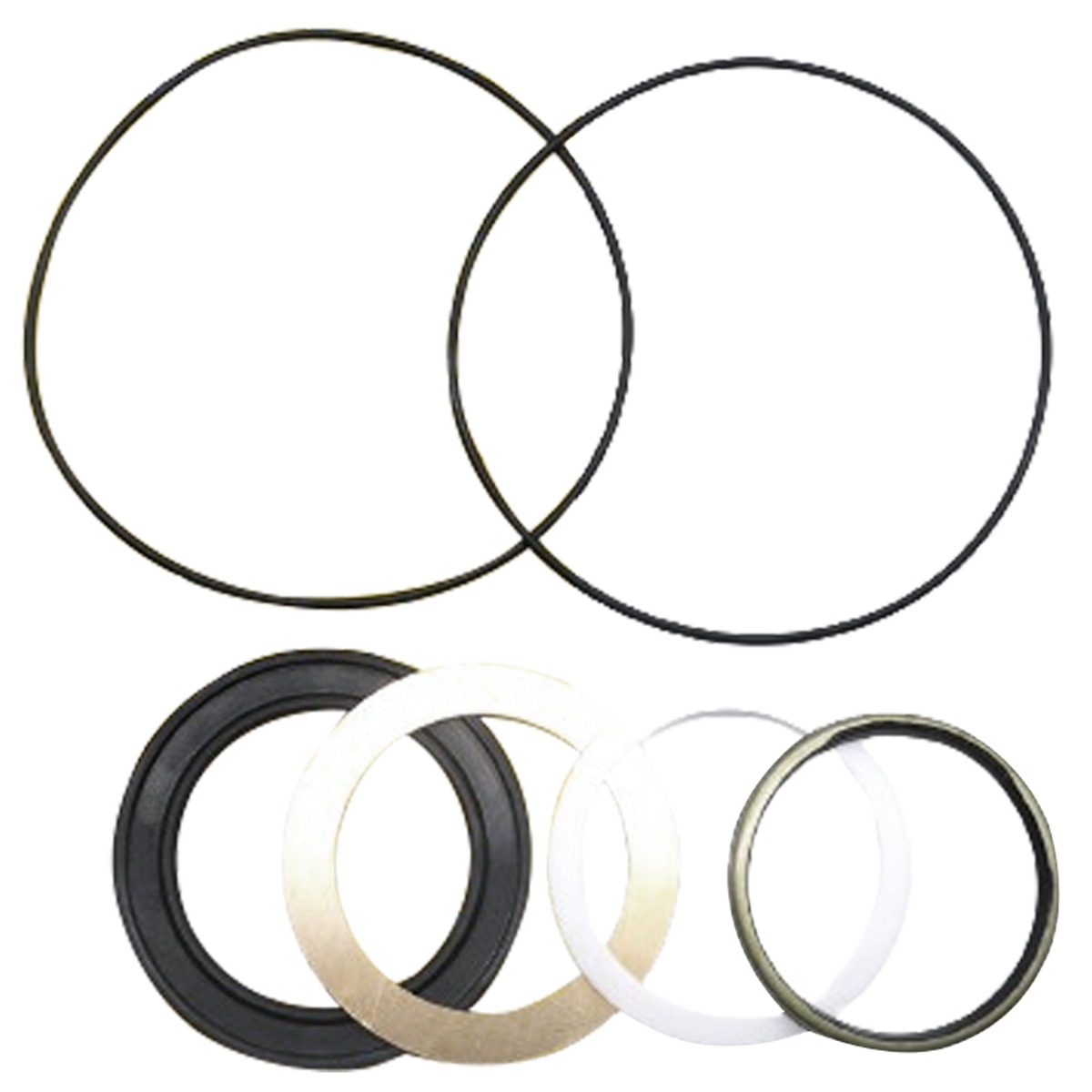 Kit de joints 60580 pour Char-Lynn