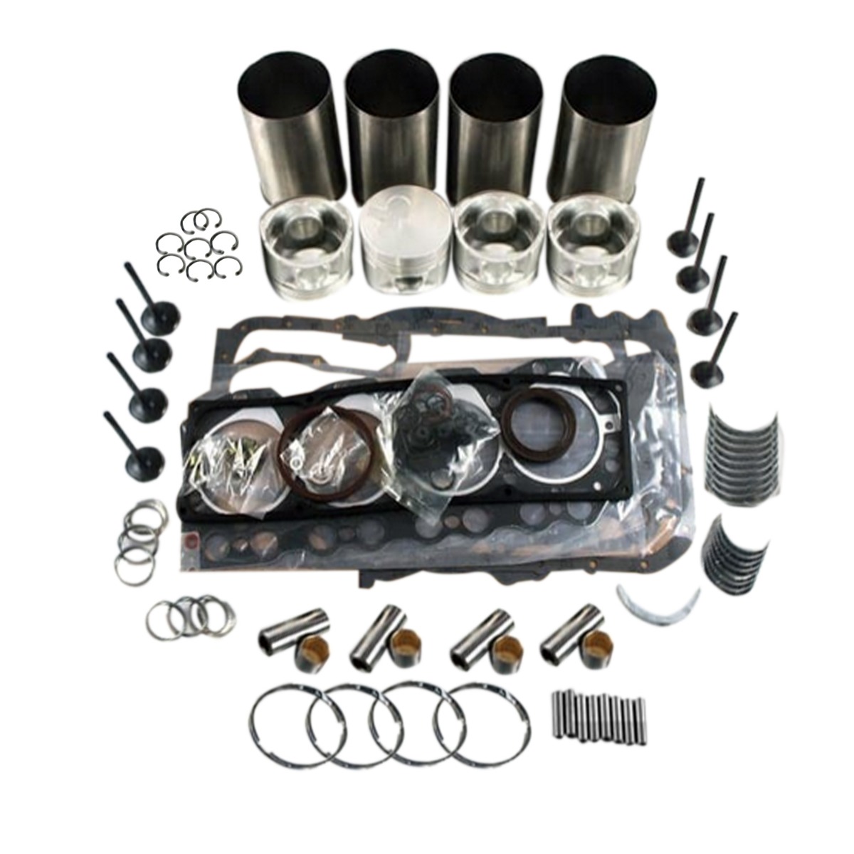 Kit de révision de Reconstruire du moteur pour JCB