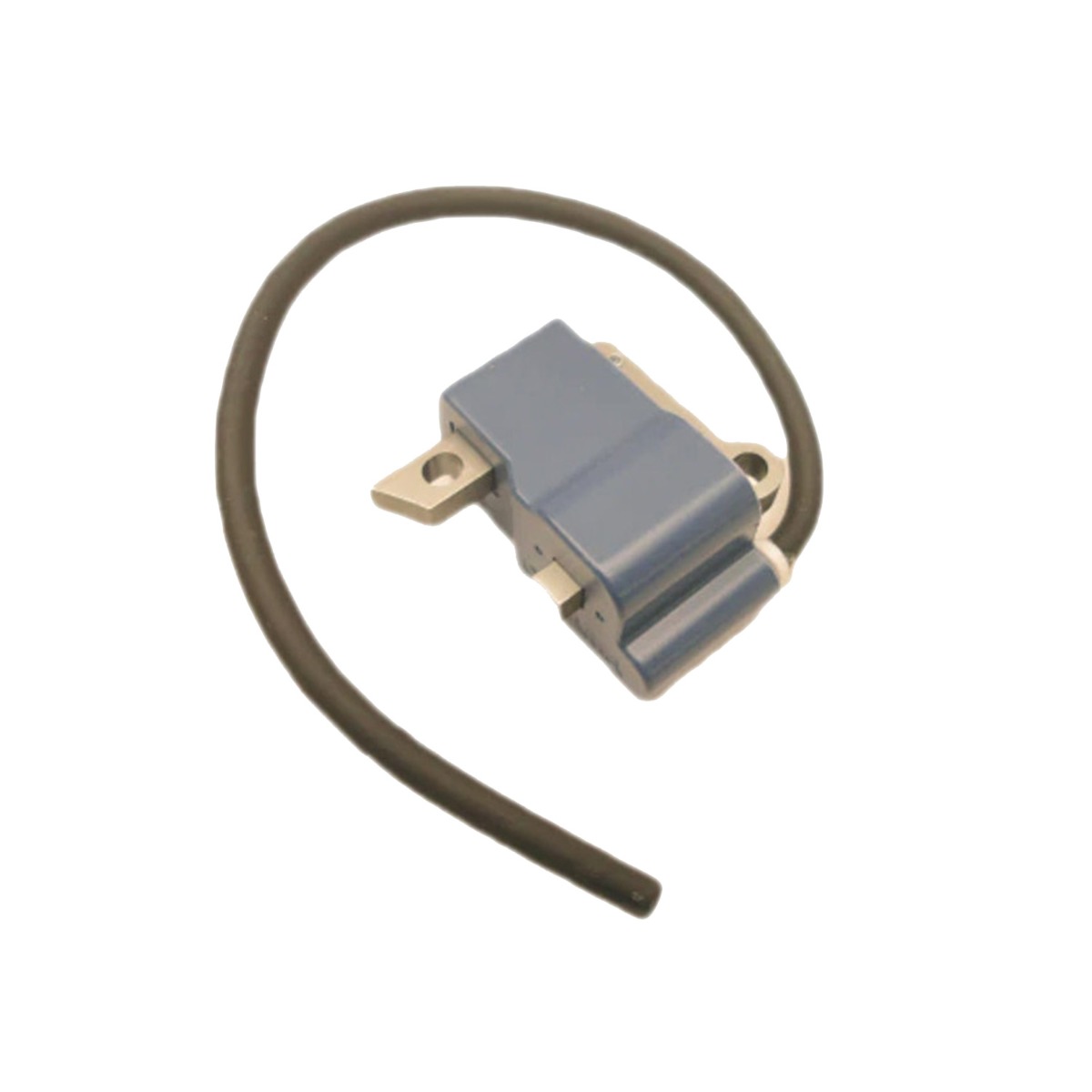 Module de bobine d'allumage A411001340 pour Echo