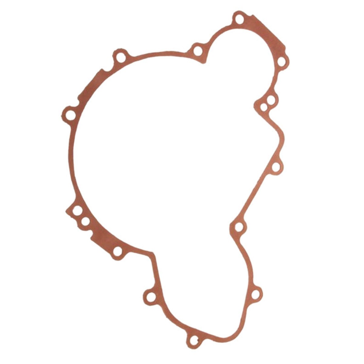 Joint de couvercle de stator d'allumage 5813505 pour Polaris