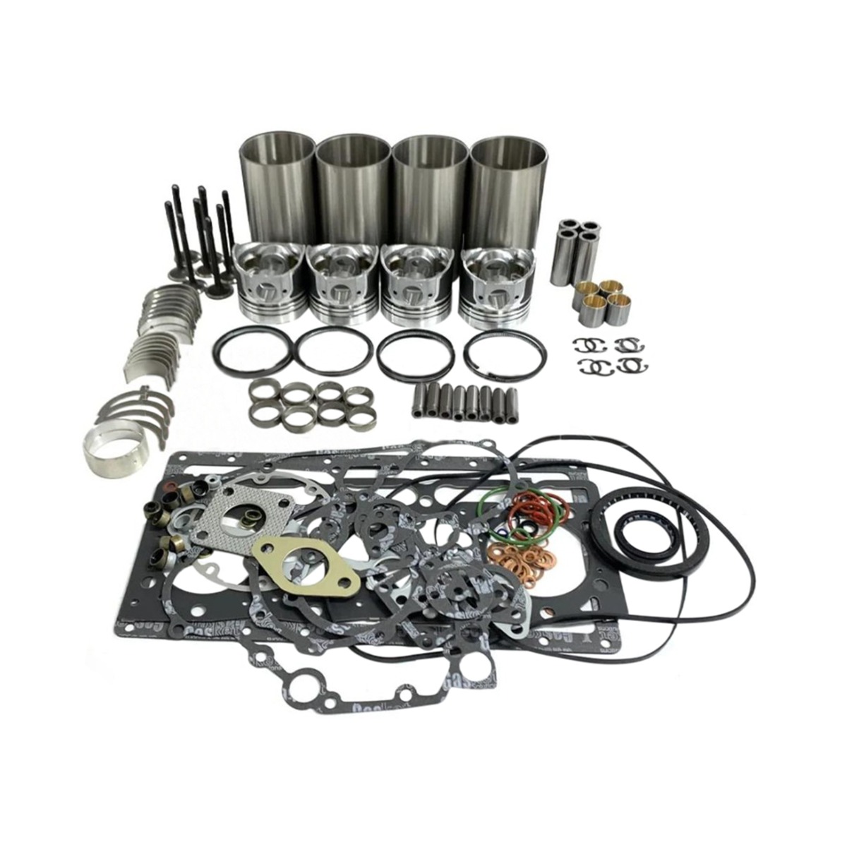 Kit de révision et de conversion RIHD002271A pour Kubota