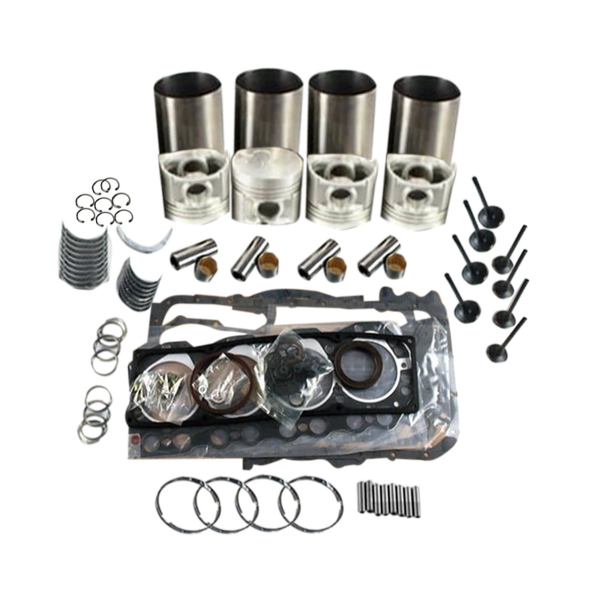 Kit de reconstruction de révision 48 mm pour JCB