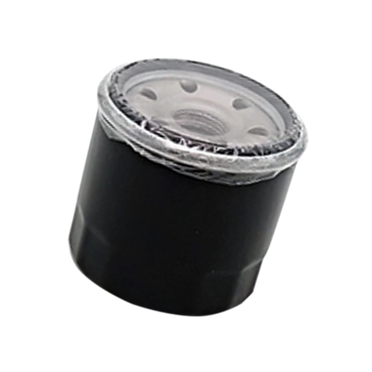 Filtre à huile 15200-003-0000 pour Hisun