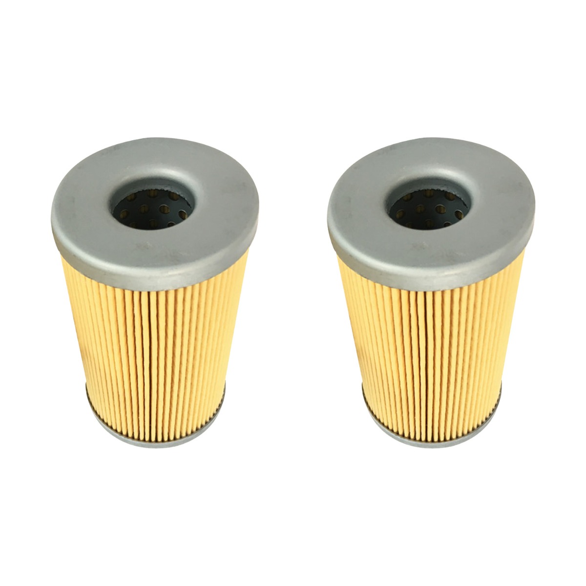 2 pièces Filtre à carburant 3702815M1 pour Massey Ferguson