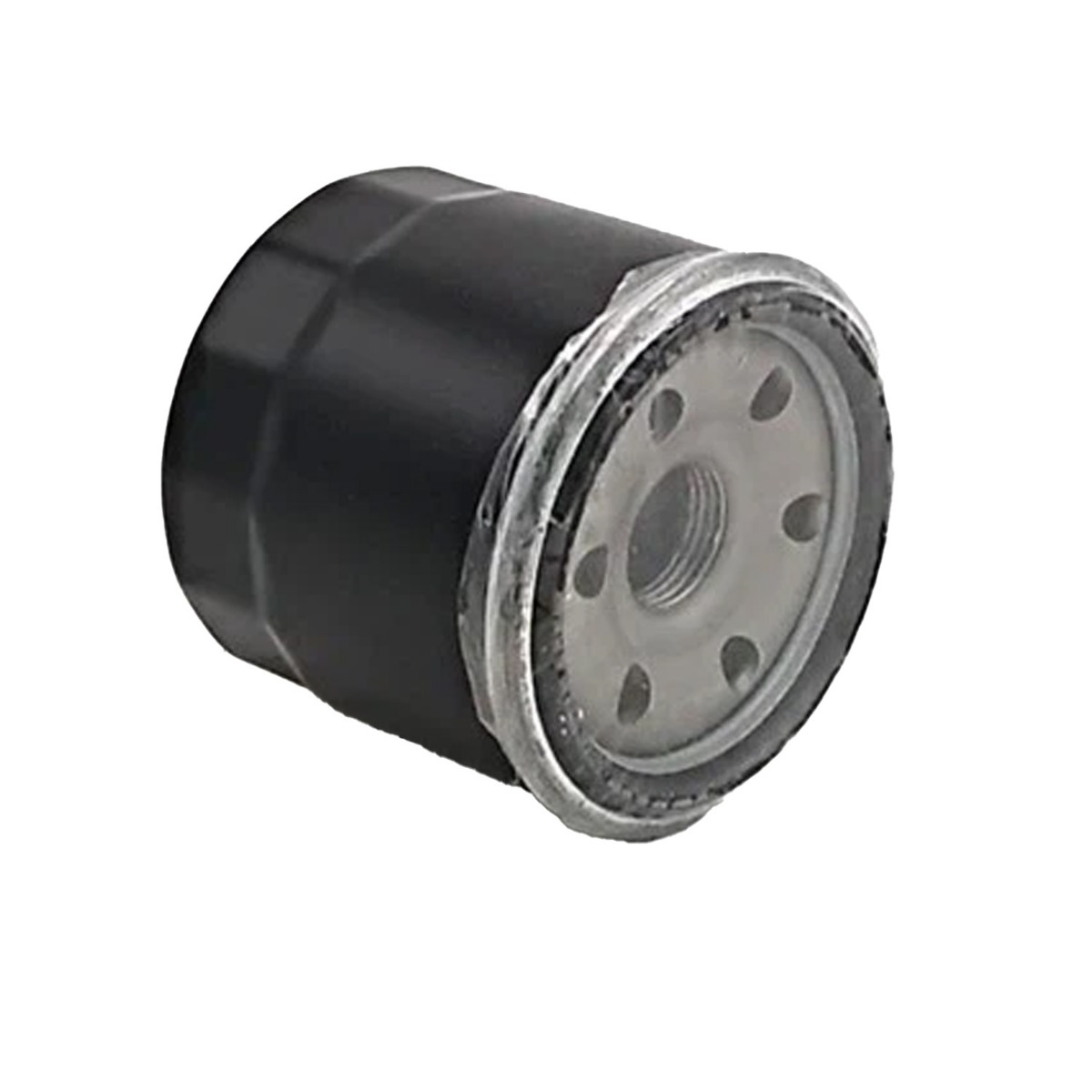 Filtre à huile 15200-F39-0000 pour Hisun