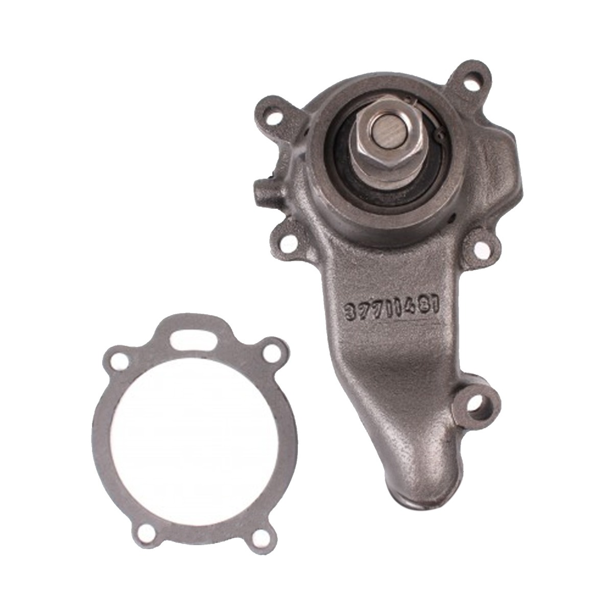 Pompe à eau avec joint 41312323 pour Massey Ferguson