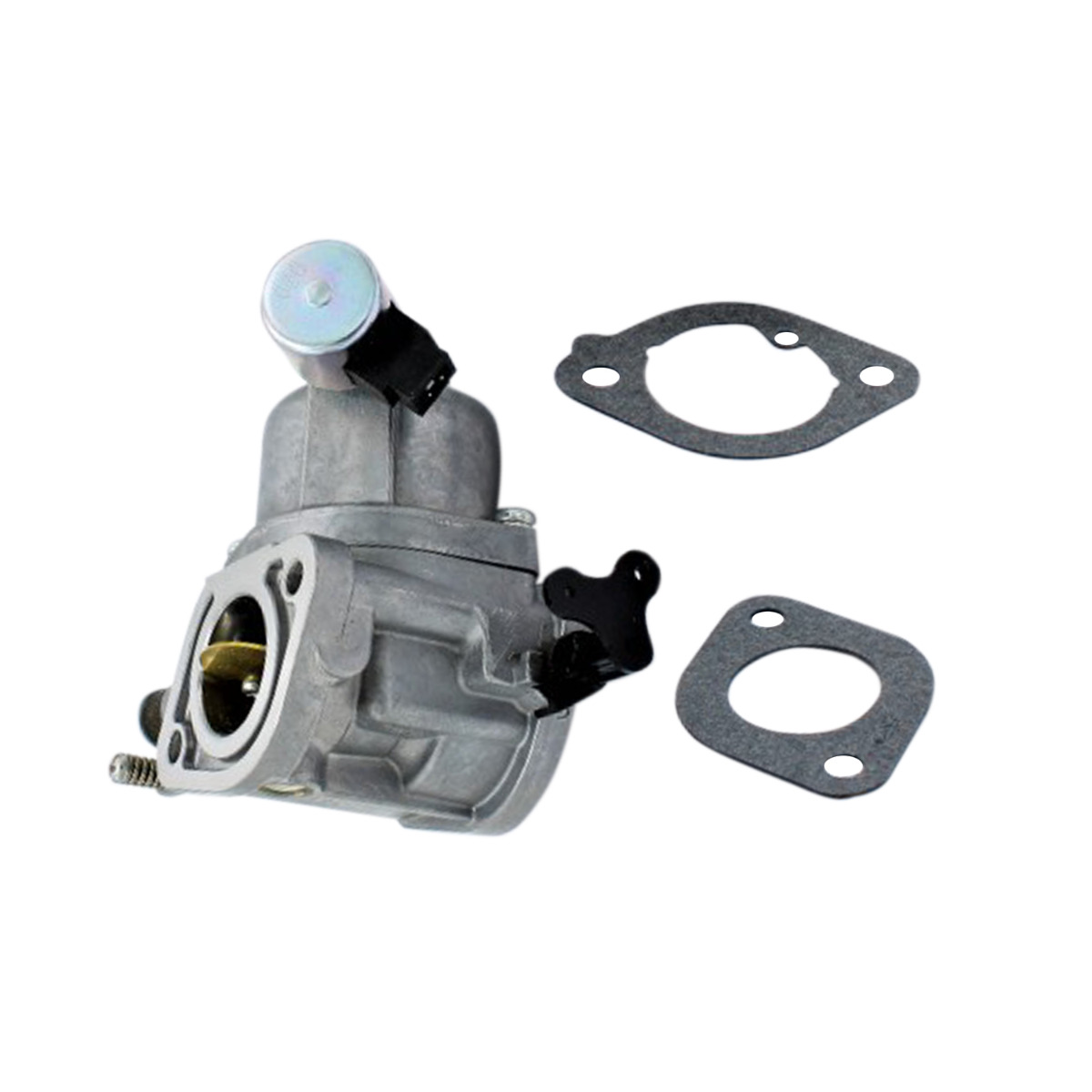Carburateur 594207 pour Intek