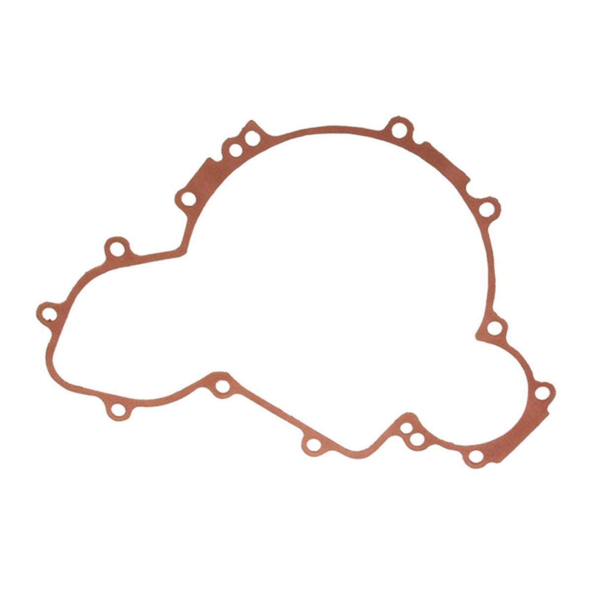 Joint de Couvercle de Stator d'allumage 5813505 Pour Polaris