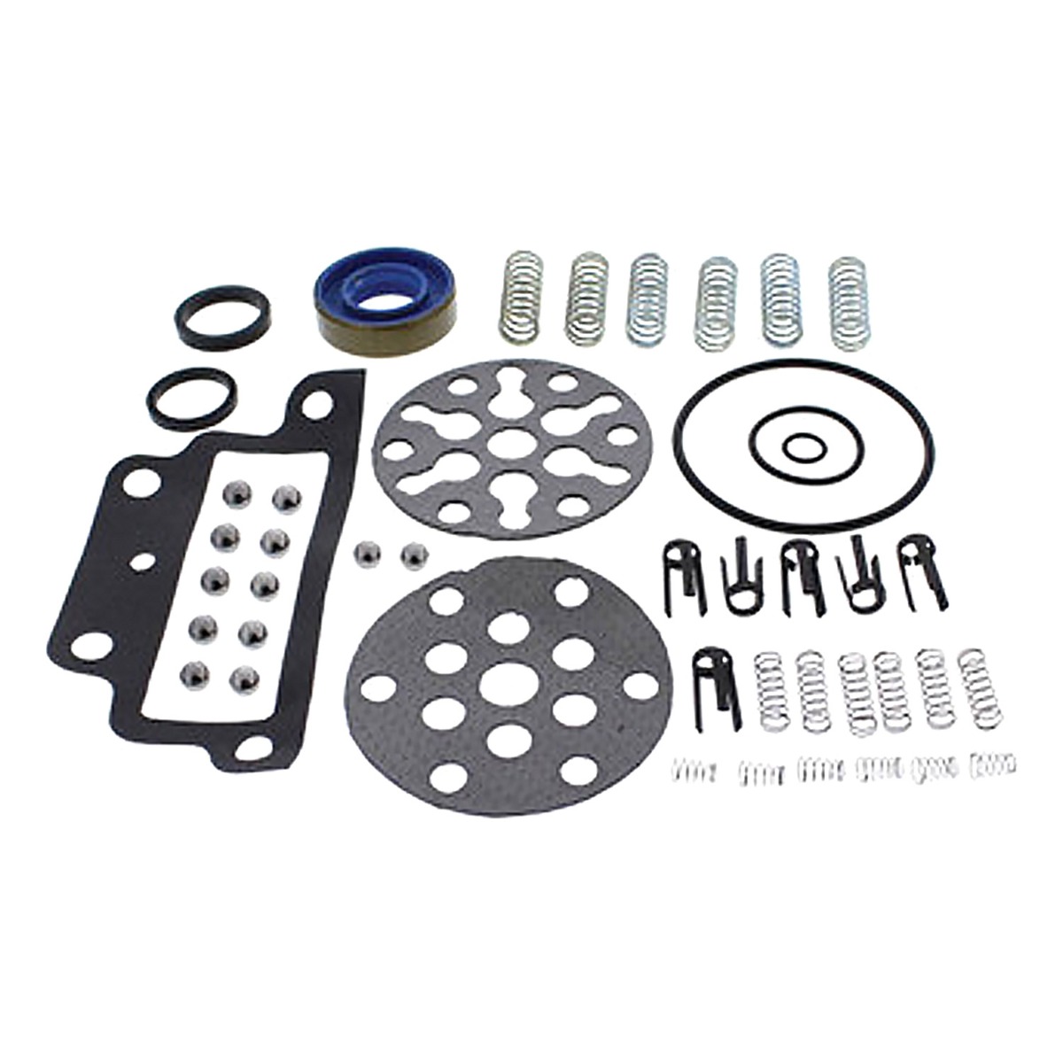 Kit de réparation de pompe CKPN600A pour New Holland