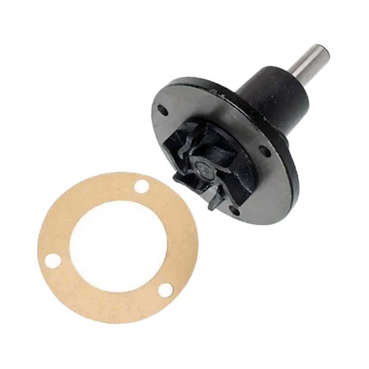 Pompe à eau 830691M91 pour Massey Ferguson