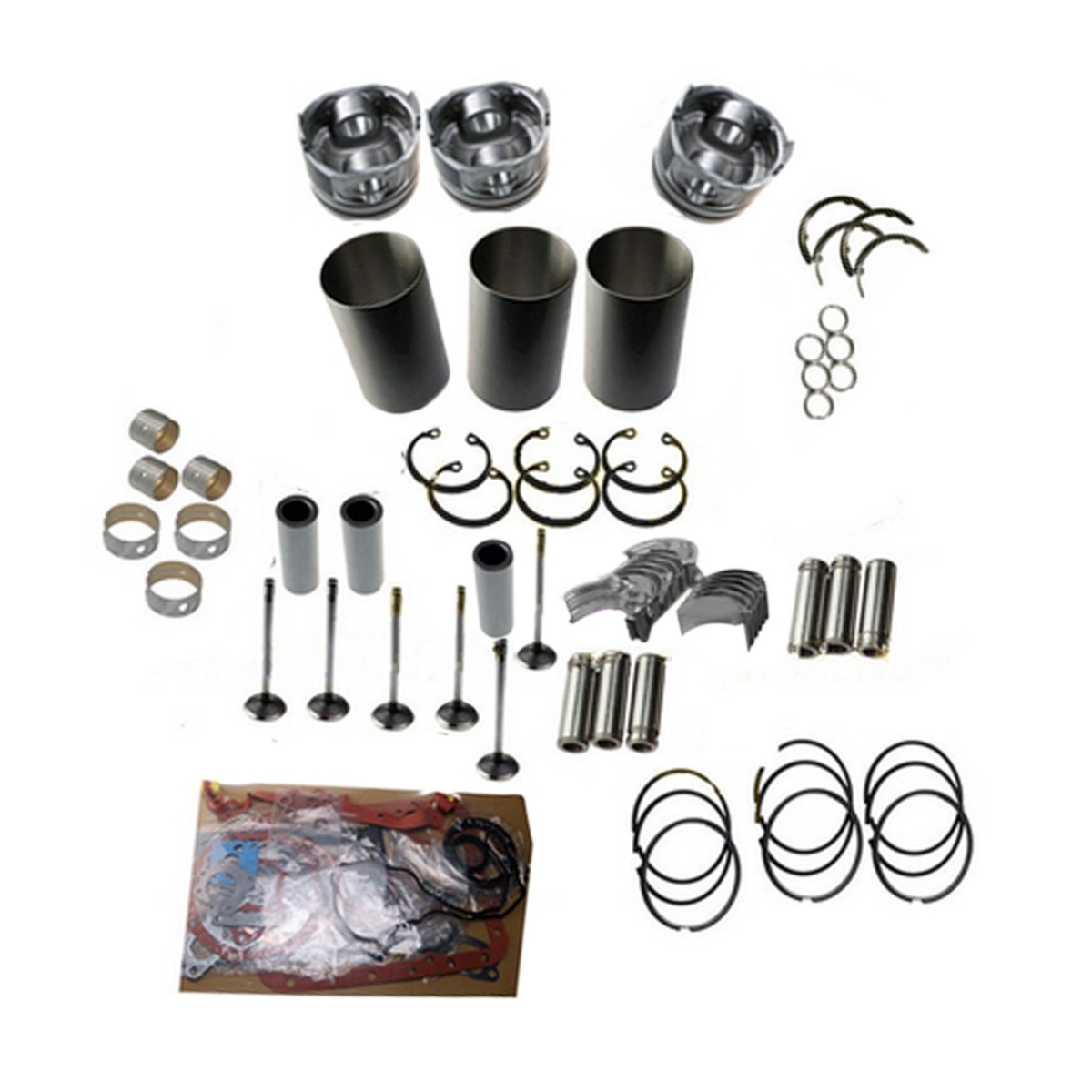 Kit de Révision et de Transformation pour Isuzu