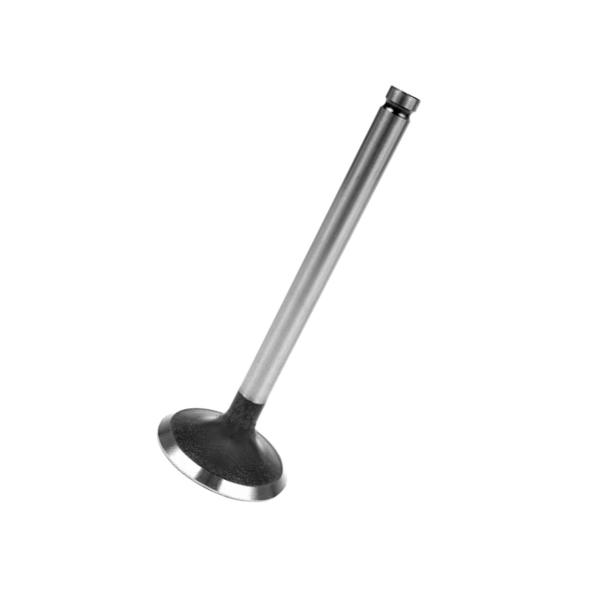Soupape d'admission 739027M1 pour Massey Ferguson