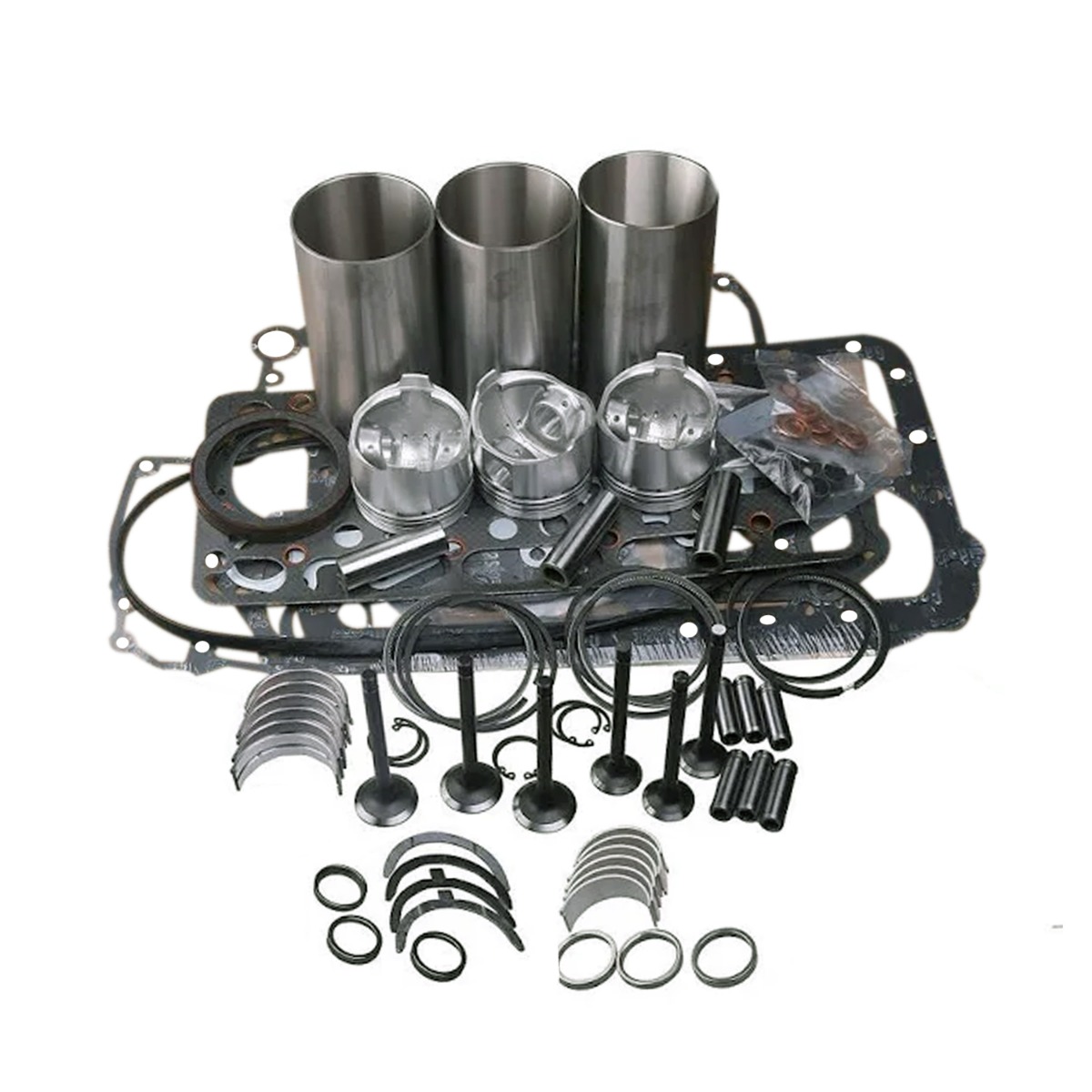 Kit de conversion de révision 119810-22080 pour Yanmar