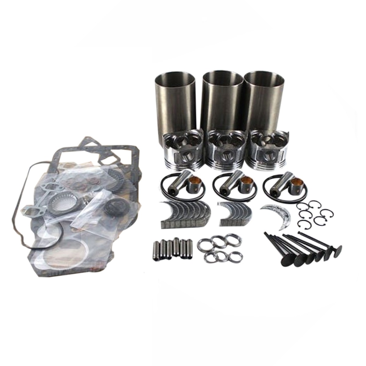 Kit de révision et de conversion pour Kubota